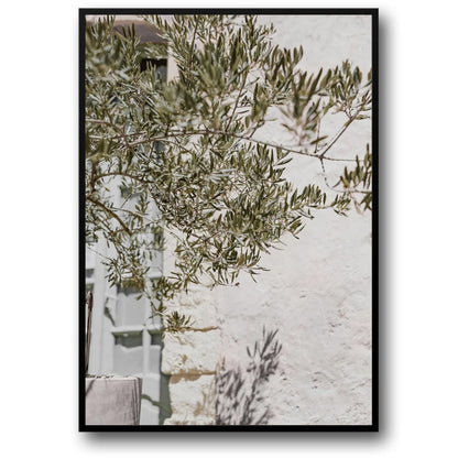 Olive Garden | Italy Landscape Art | Echoes of Heritage | Elegant Wall Poster | Italian Countryside Decor