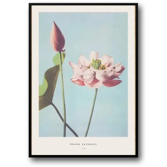 Ogawa Kazumasa Poster | Peony Floral Design | Ukiyo-e Japanese Art Print | Traditional Wall Decor