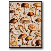 DIVERSE MUSHROOM COLLECTION