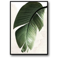 BOTANICAL BALANCE