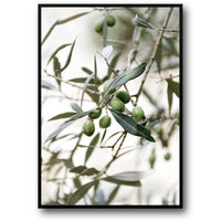 Olive Garden | Italien