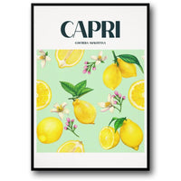 Capri Lemons | Italienische Art | Lebendig
