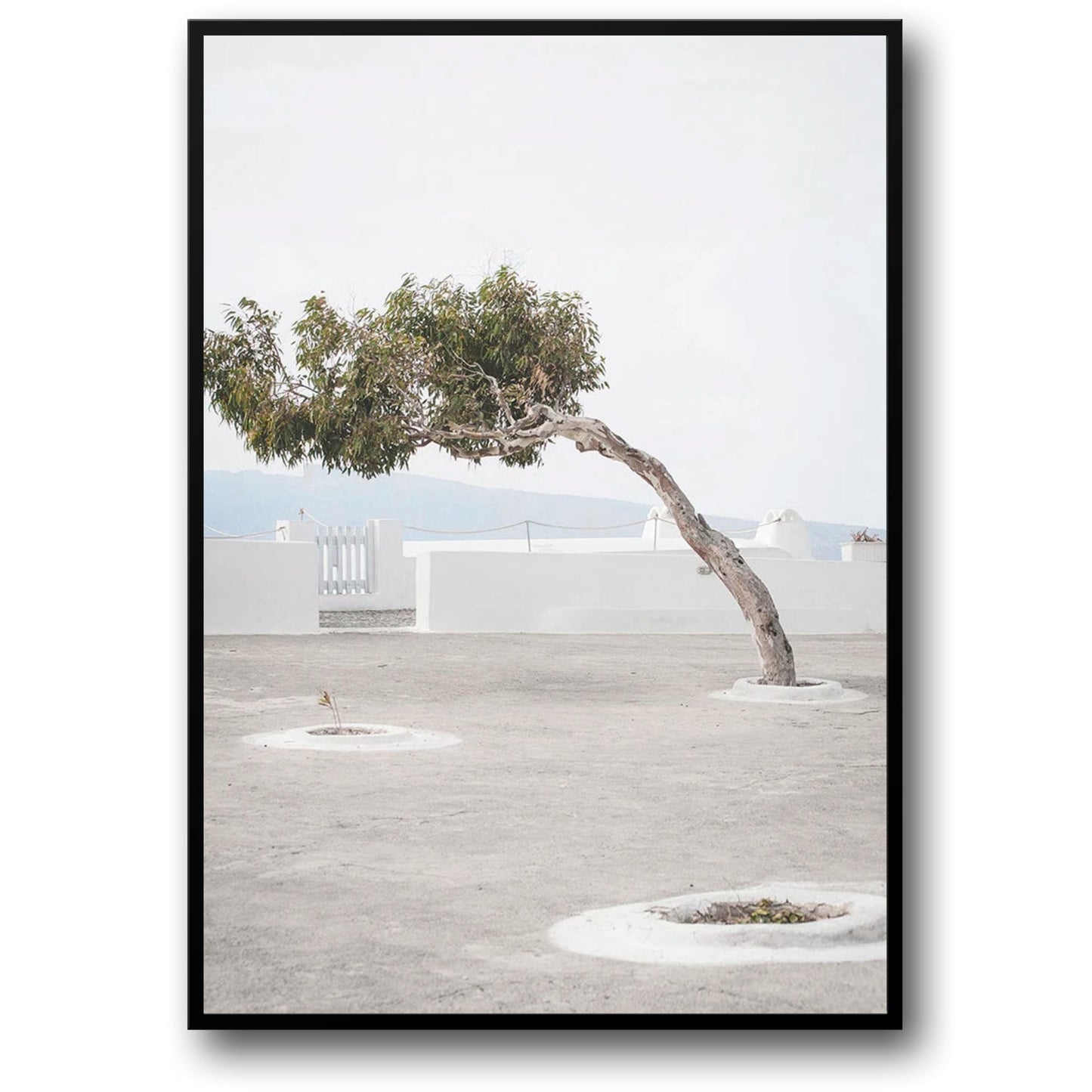 Olive Garden Landscape Poster | Italy Wall Art | Timeless Tranquility | Home & Garden Decor