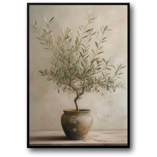 Italienisches Vintage | Idylle unter Olivenbäumen | Ruhige Landschaft