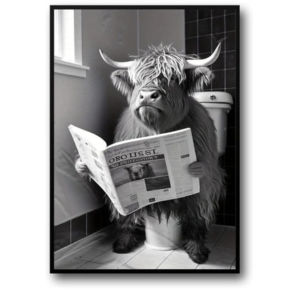 Highland Koe Leest op Toilet | Humoristische Boerderijstijl