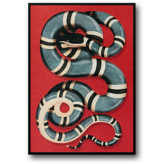 Kingsnake | Alessandro Michele Kunstwerk | Gucci Legends