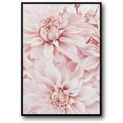 Roze Dahlia Bloem | Bloemkunst