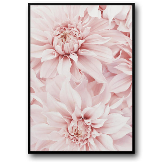 Roze Dahlia Bloem | Bloemkunst
