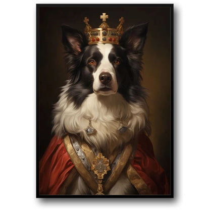Majestätischer Border Collie | Königlicher roter Umhang