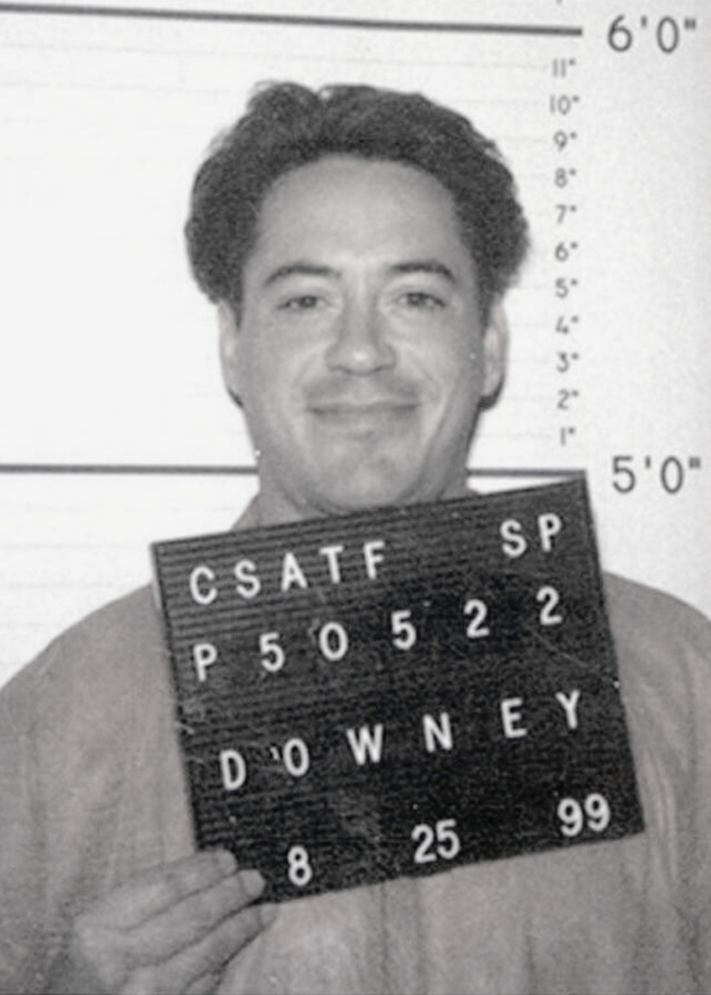 Robert Downey Jr. Mugshot