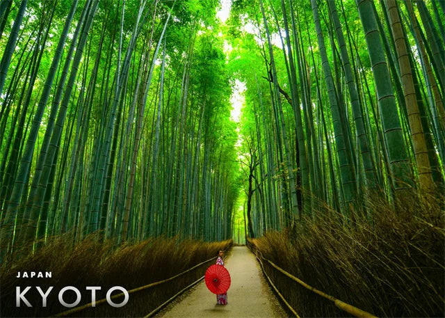 Arashiyama Bamboo Grove | Kyoto | Tranquil Natural Landscapes | Cultural Landmarks | Japanese Architecture Posters