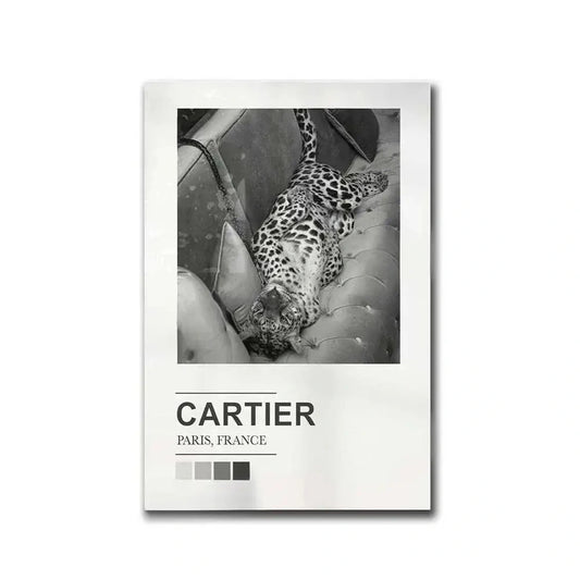 Cartier Exposition | Paris, France | Silhouettes and Skylines | Shopping In Paris | A Tribute To Fashion Legends