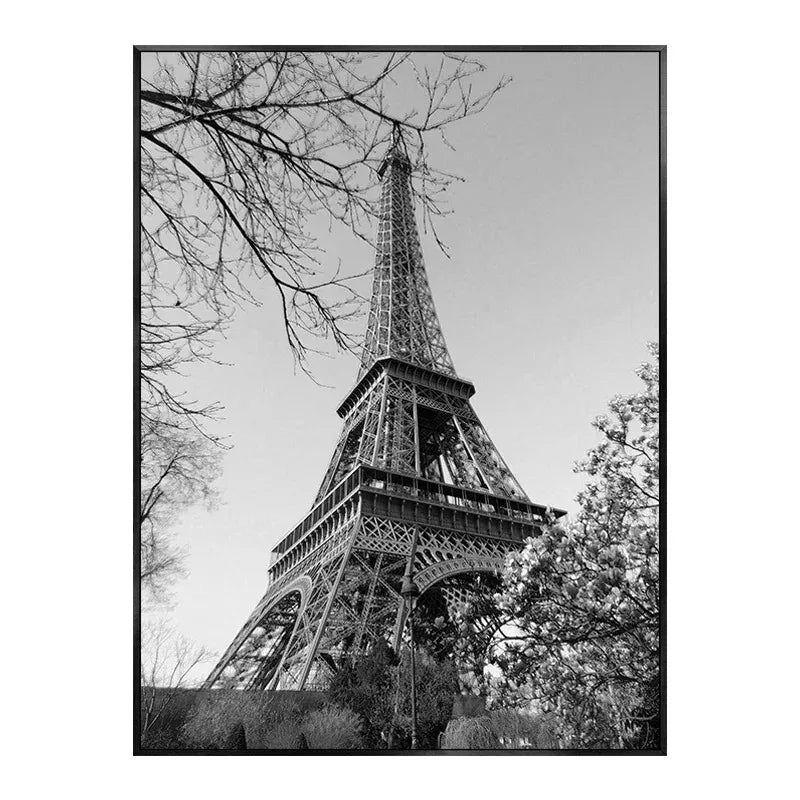 Monochrome Majesty - Timeless grandeur of Paris captured in shades of gray.