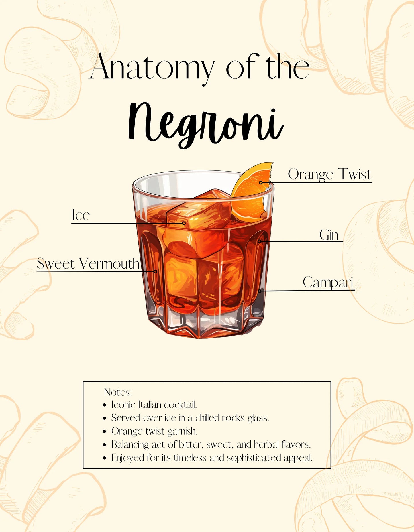 Cocktail Recipe Instruction - Anatomy of The Negroni