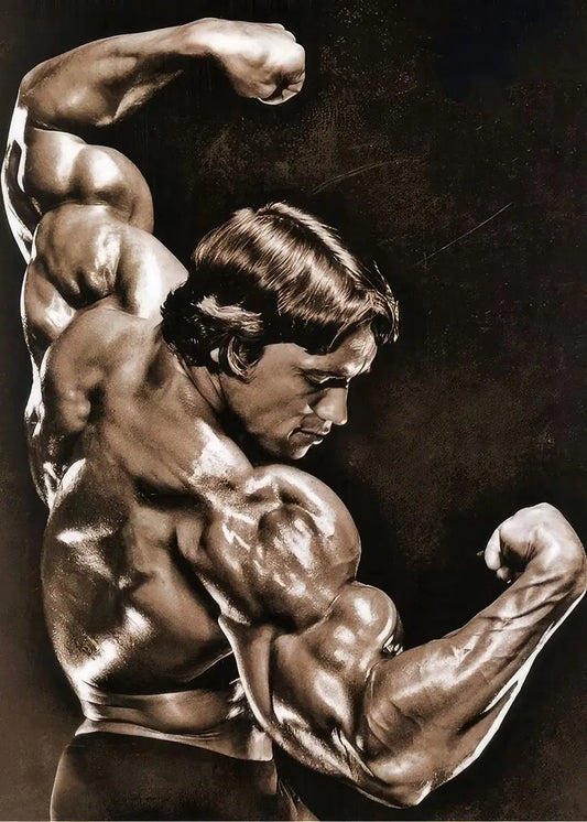 Bodybuilding | Weightlifting | Motivational Quote | Gym Fitness Poster | Legendary Iconic Arnold Schwarzenegger Pose