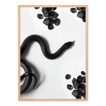 Black Snake Roam