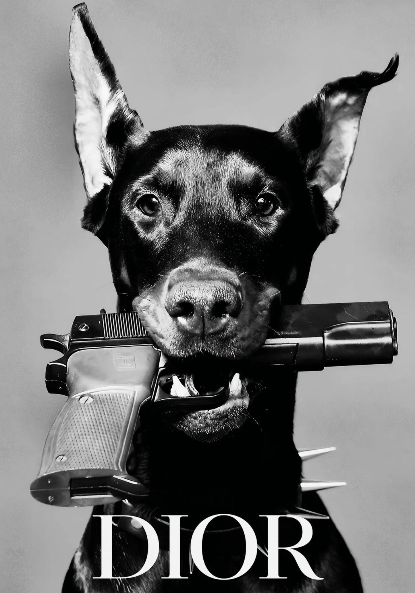 Dior Hond | Elegante Woondecoratie Kunst
