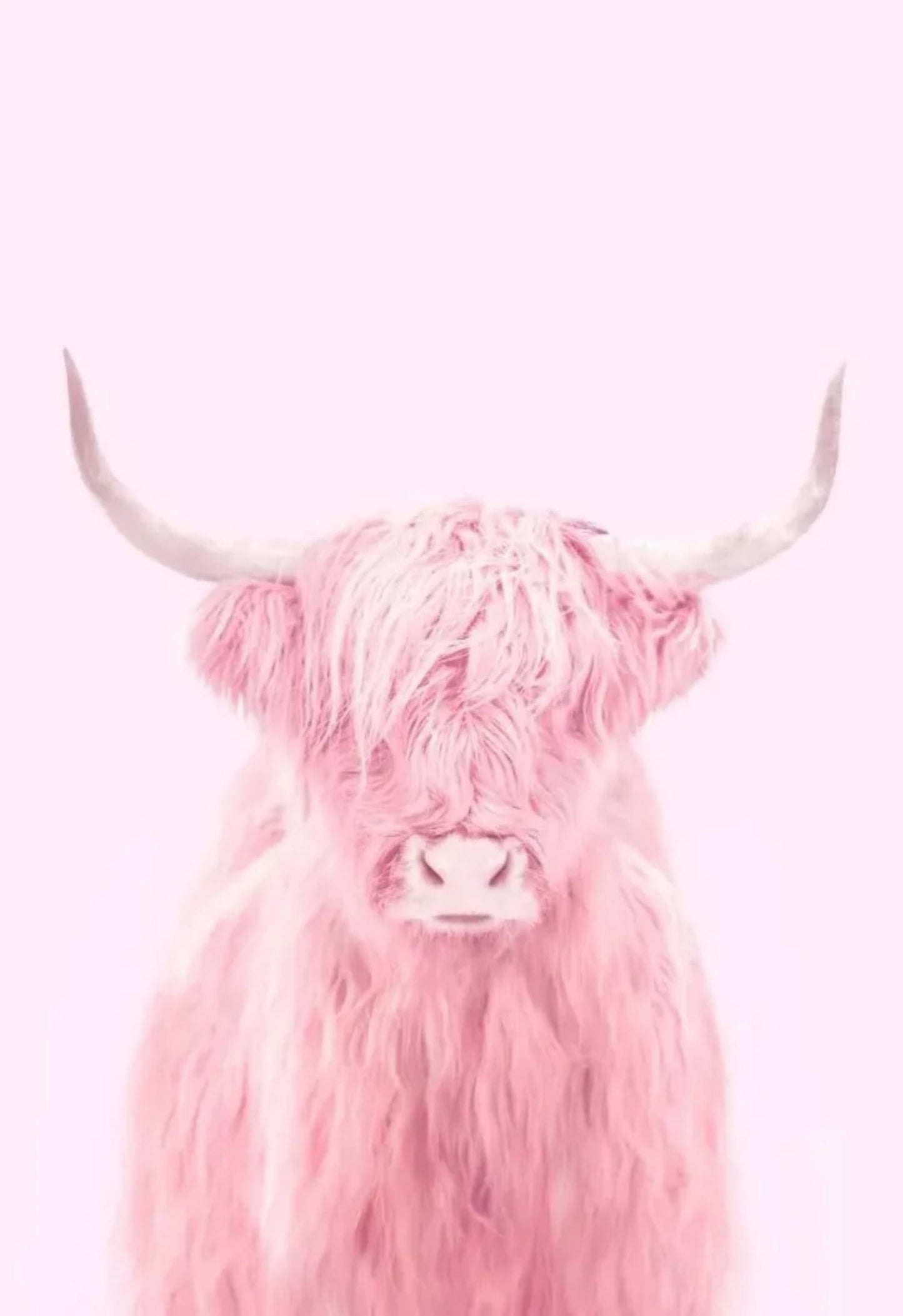 Roze Hoogland Koe | Fantastische Wezens Kunst