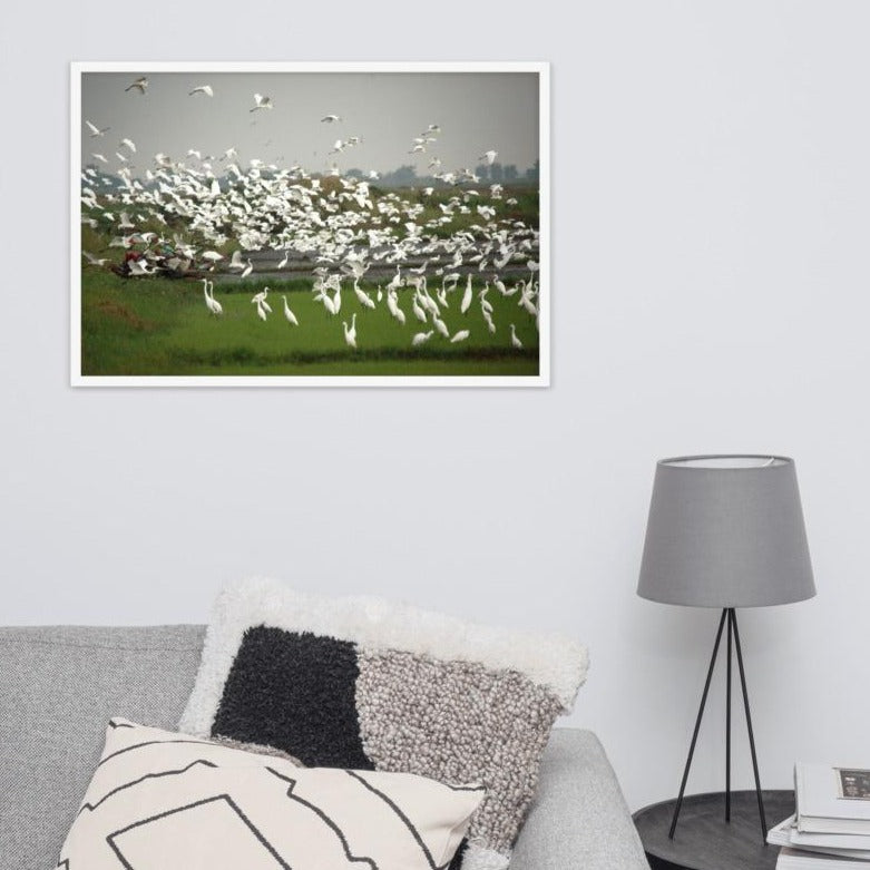 a flock of egrets - poster