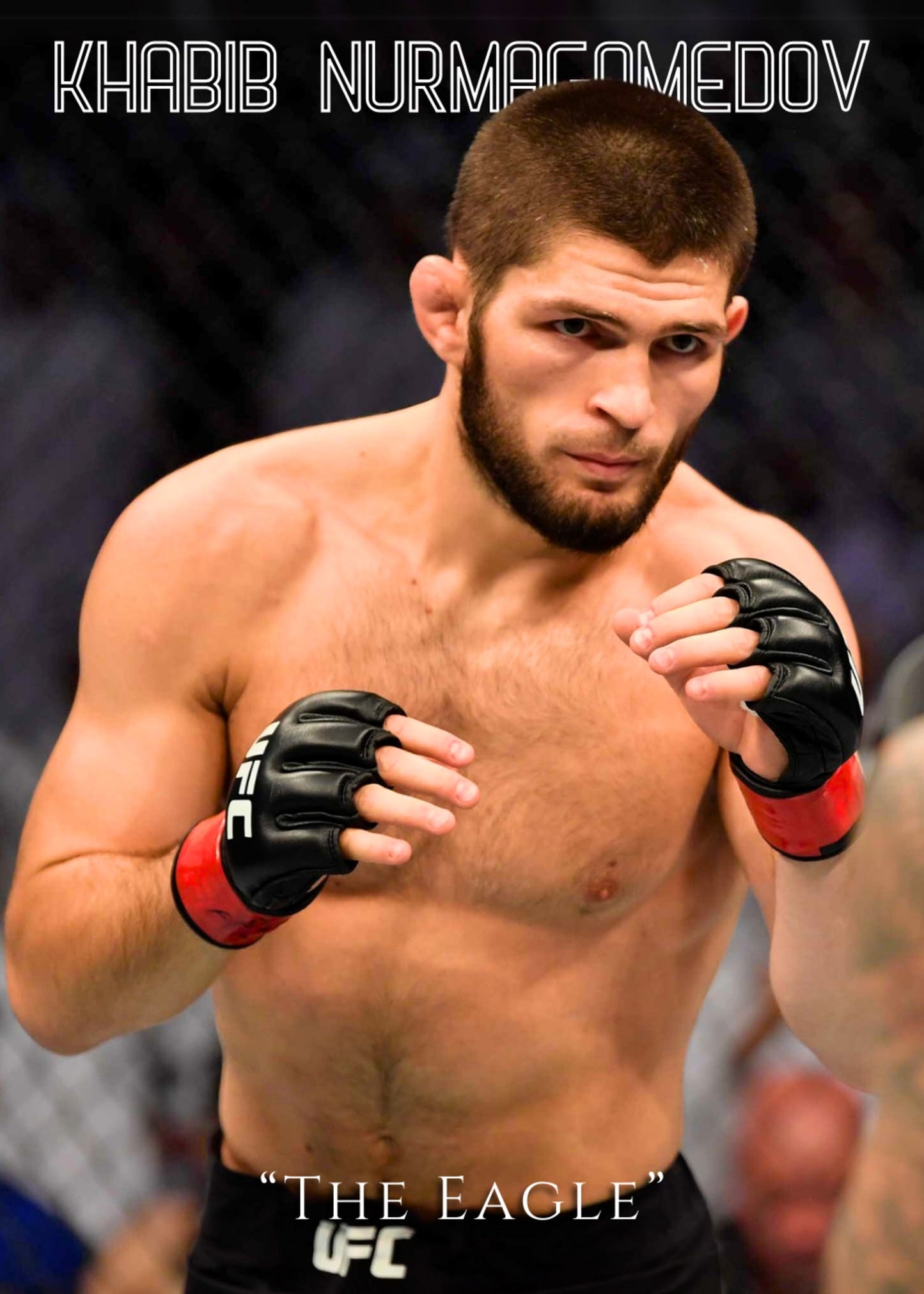 Khabib Nurmagomedov UFC Poster Der Adler MMA Champion Wandkunst