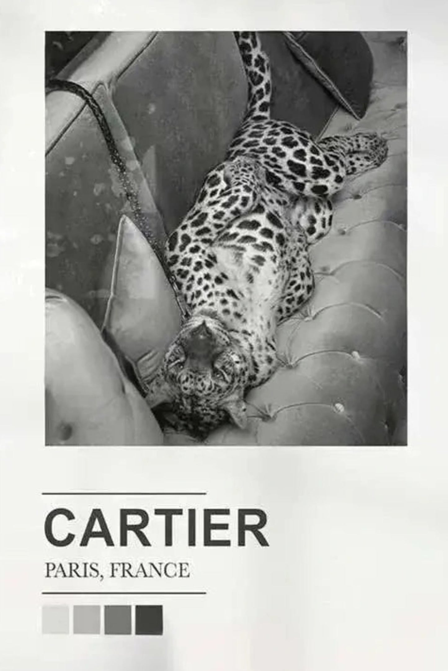 Cartier-Ausstellung | Pariser Silhouetten & Skylines