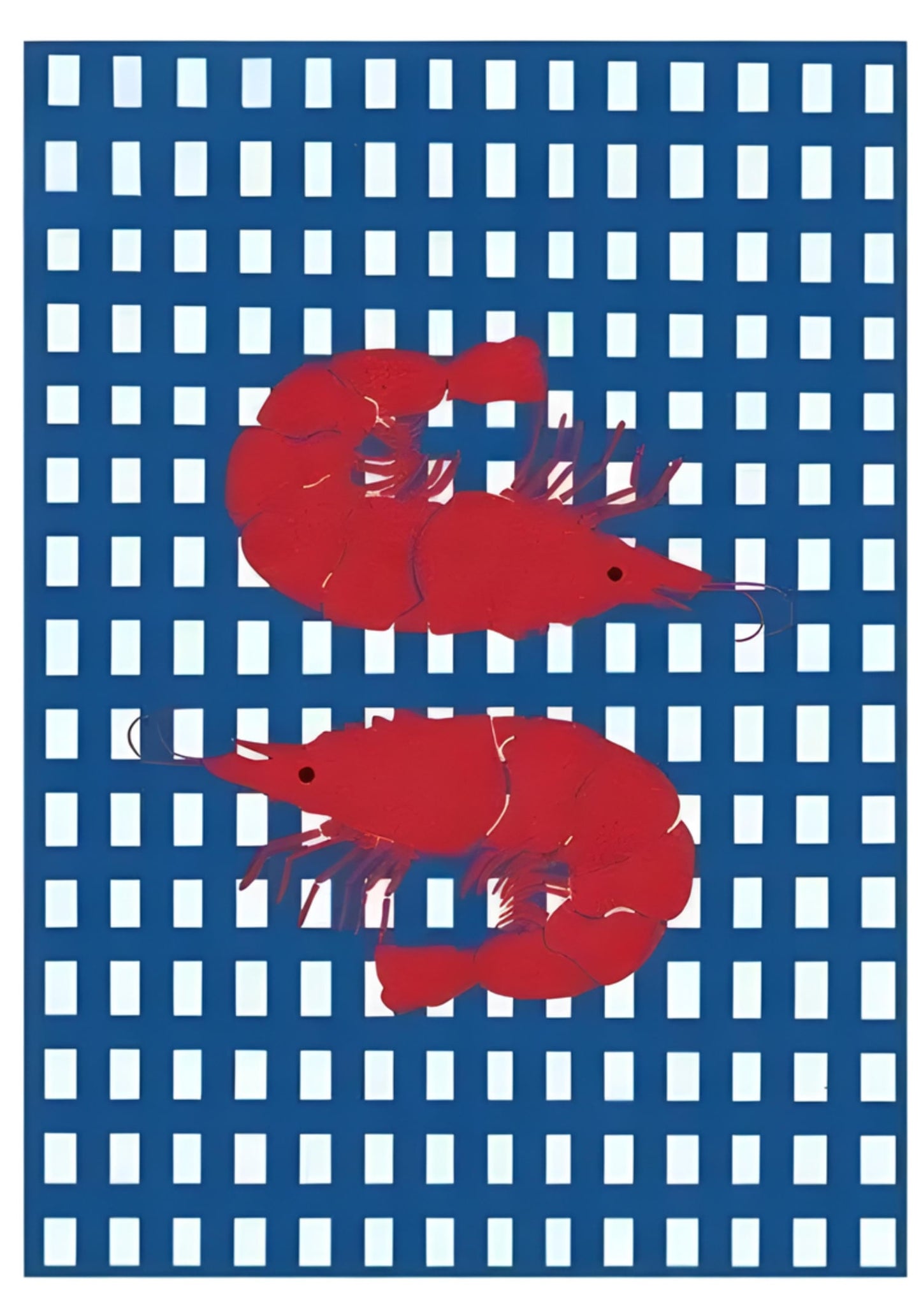 Nigirizushi-Garnele | Japanische Meeresfrüchte-Kunst