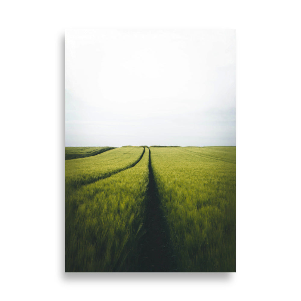 Gerstenfeld barley field - Poster