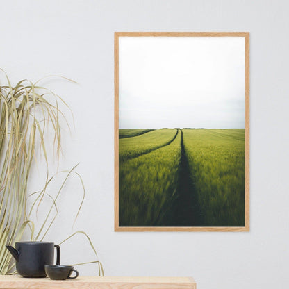 Gerstenfeld barley field - Poster