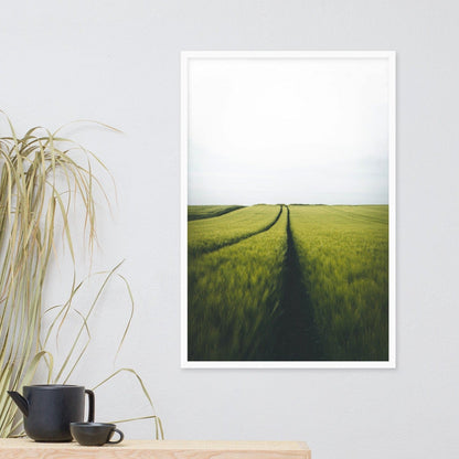 Gerstenfeld barley field - Poster