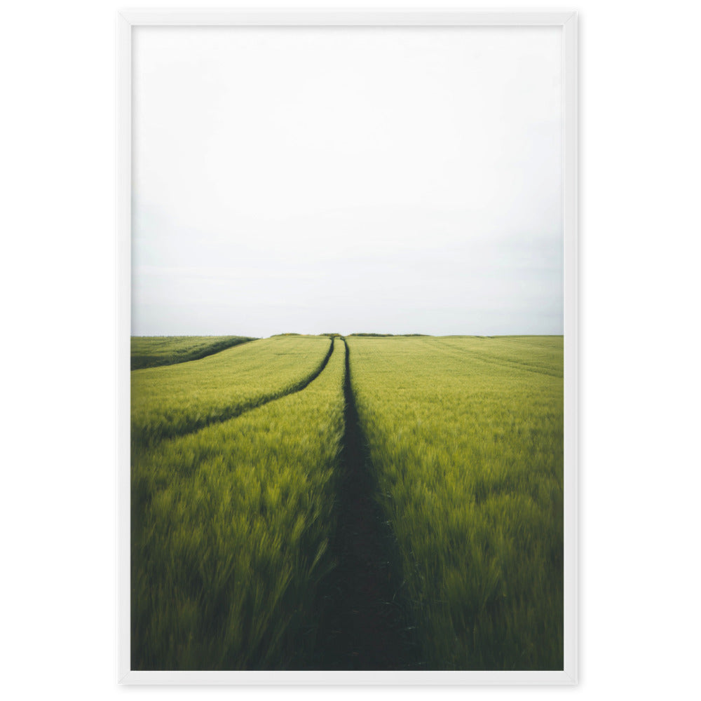 Gerstenfeld barley field - Poster