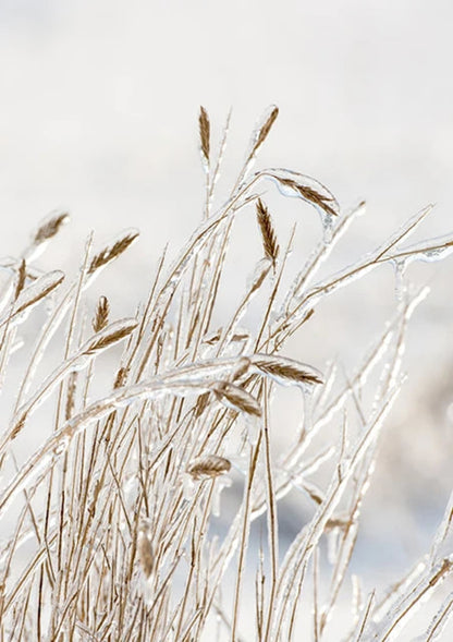 Minimalistisches botanisches Design | Inspiriert vom Garten