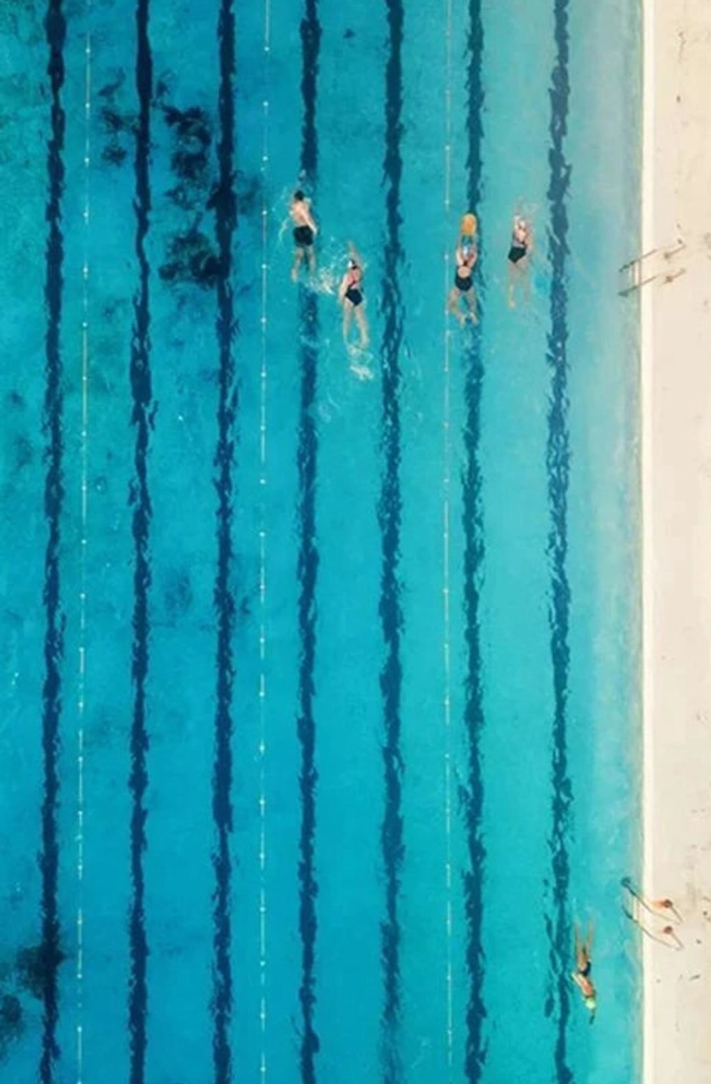 Poolside Escapes Poster | Serene Poolside Decor | Relaxing Art for Home & Garden | Modern Wall Art | Tranquil Outdoor Scene | High-Quality Print