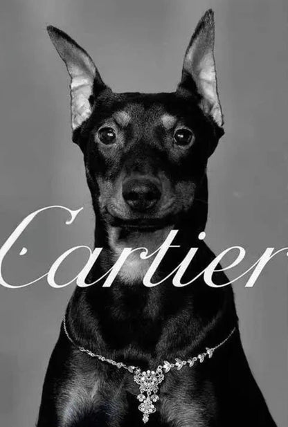 Cartier | Pinscher-Silhouetten | Hommage an die Pariser Mode