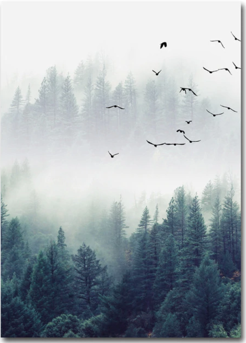 Birds in Deep Fog (set of 3)