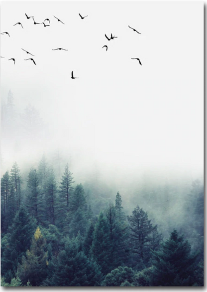 Birds in Deep Fog (set of 3)