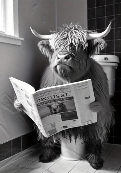 Highland Koe Leest op Toilet | Humoristische Boerderijstijl