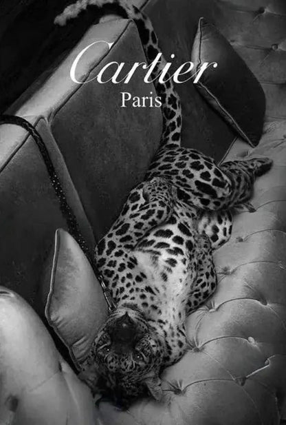 Cartier & Jaguar | Parijs Mode Silhouet
