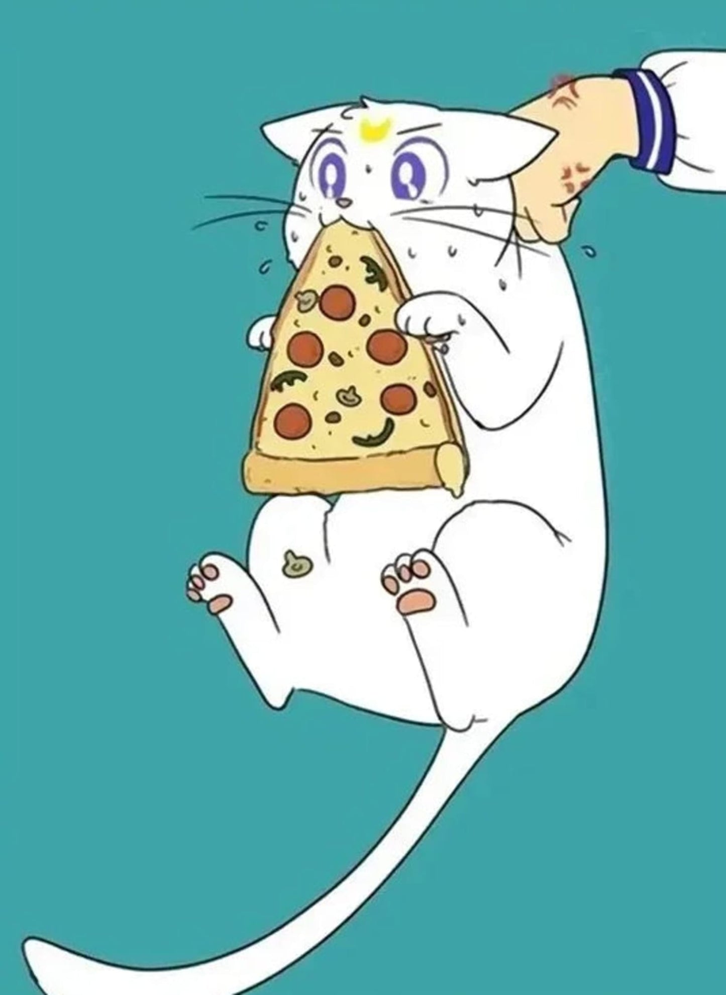 Pizza Paws | Niedliches Katzen-Anime-Design