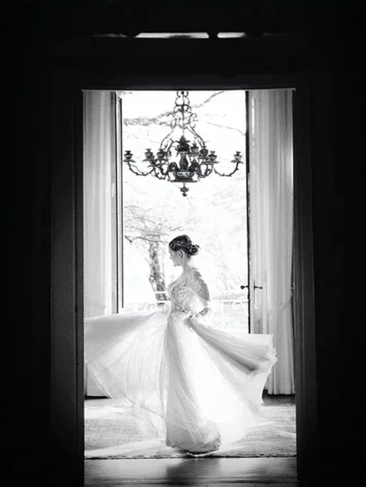 Opulent Entrance | Elegance in the Threshold Poster | Sophisticated Visual Artwork | Home Decor