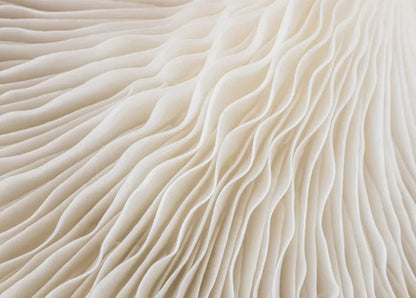 Formen in Harmonie | Kräftige Geometrie | Modernes, mehrfarbiges Design