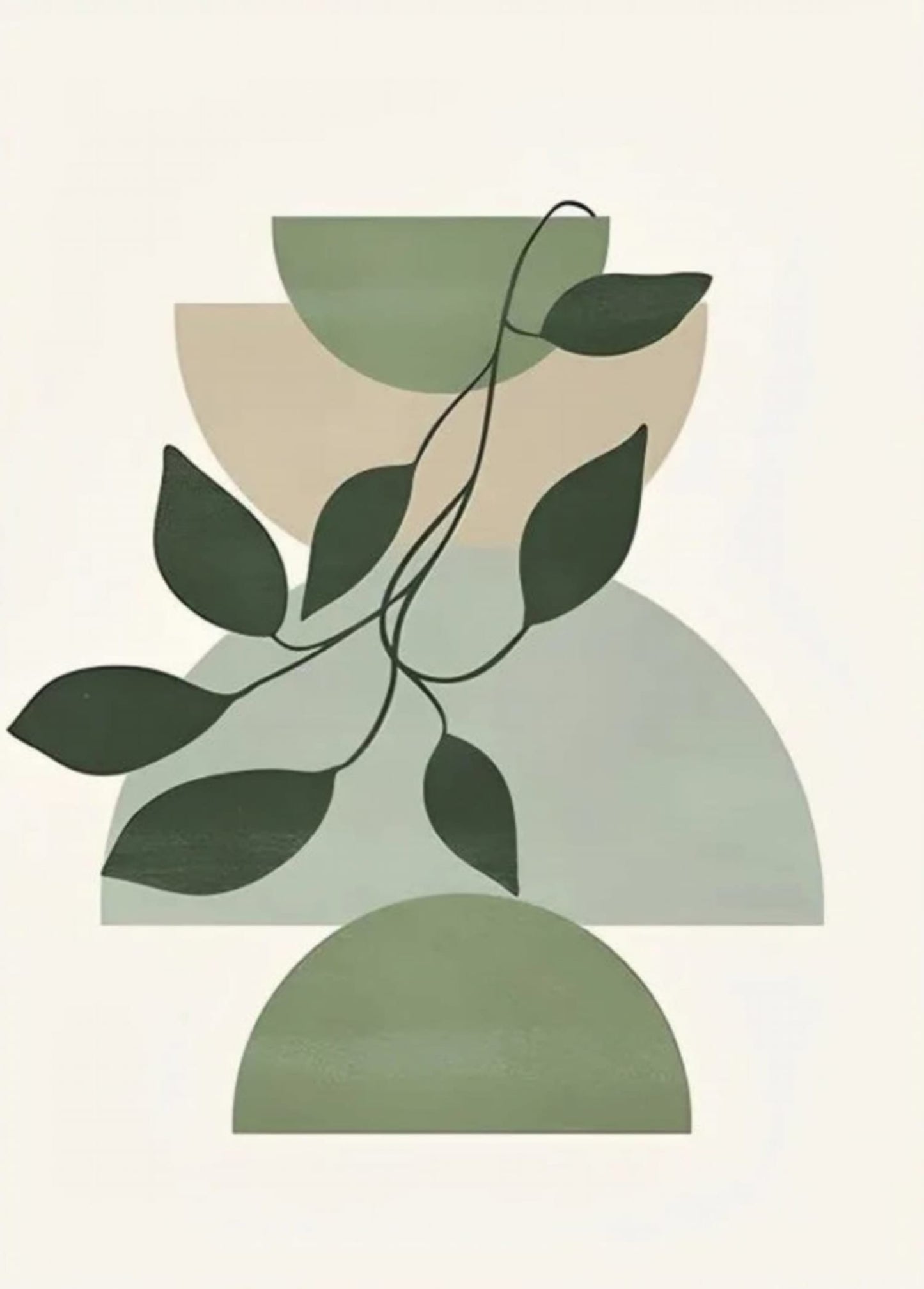 Botanische Balance | Von der Natur inspirierte Geometrie