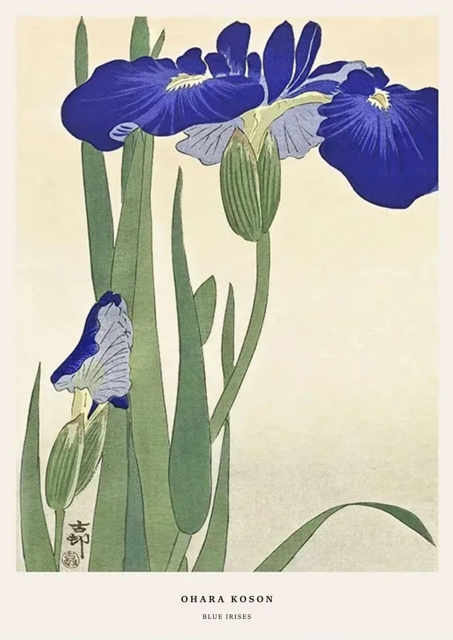 Ohara Koson | Blauwe Irissen | Ukiyo-e Stijl