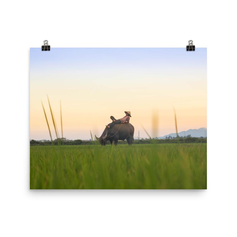 Peaceful Evening - Poster