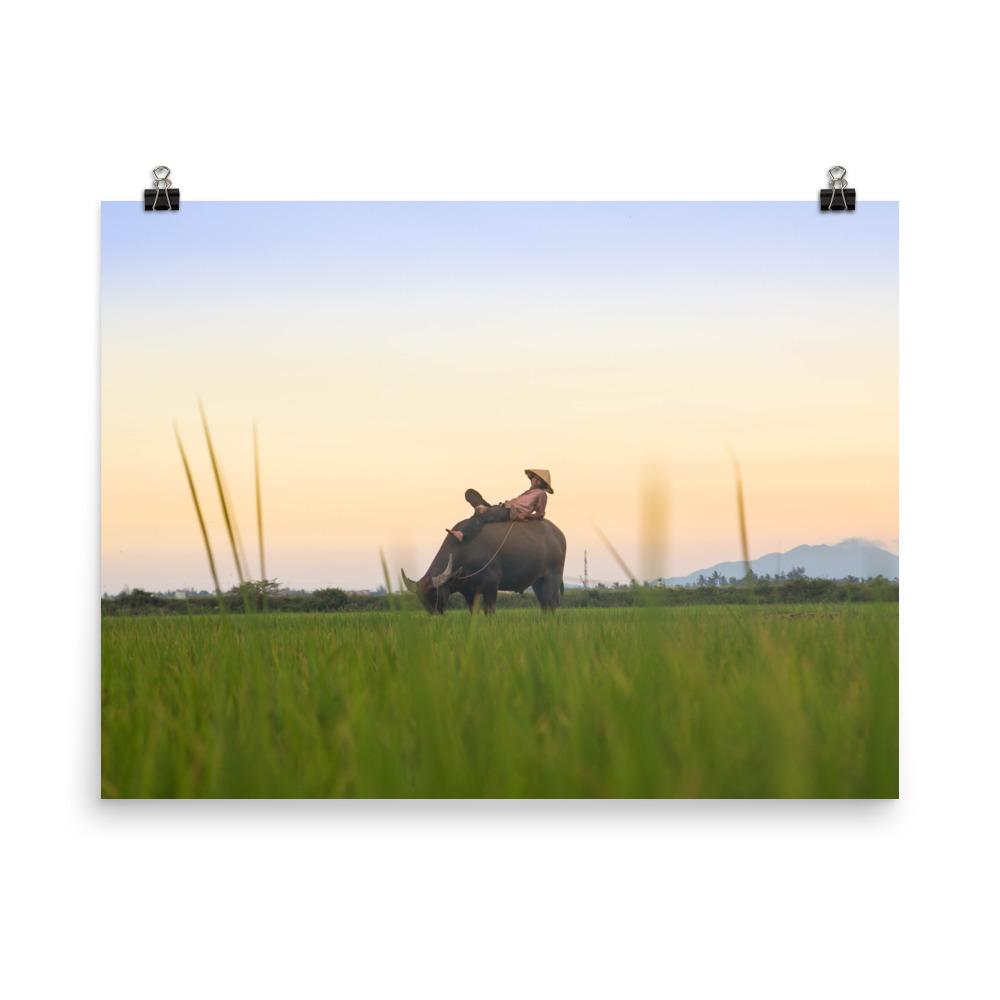 Peaceful Evening - Poster