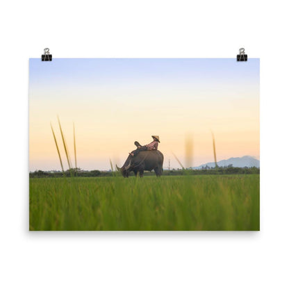 Peaceful Evening - Poster