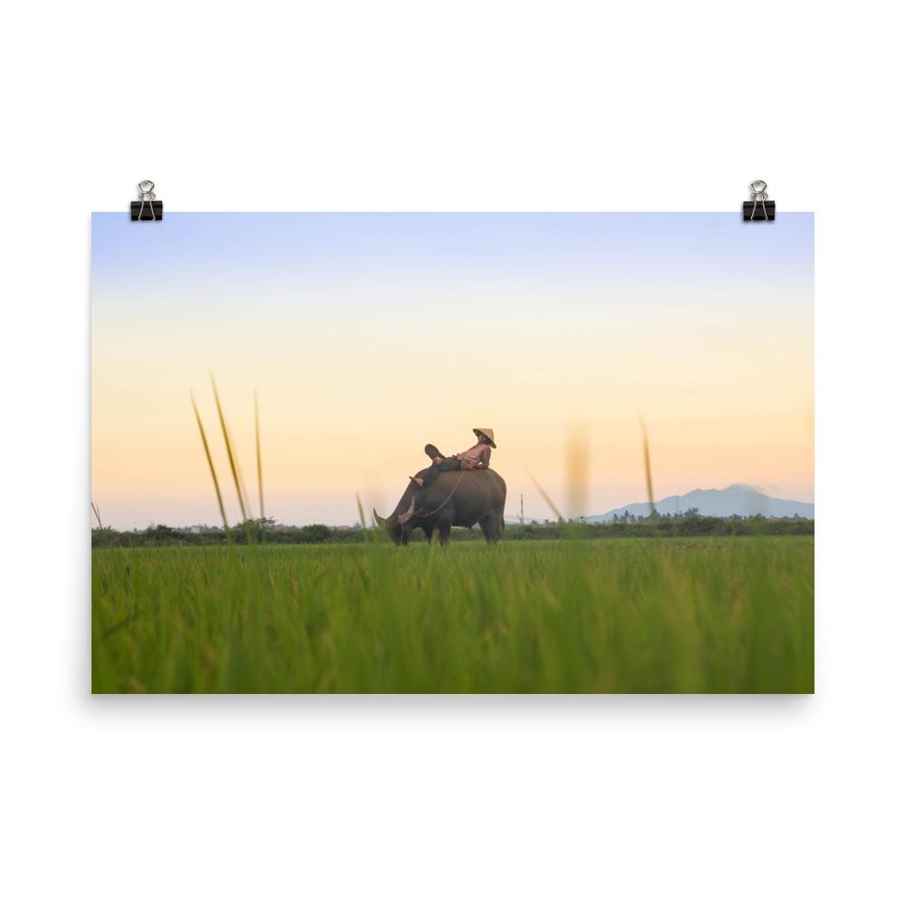 Peaceful Evening - Poster