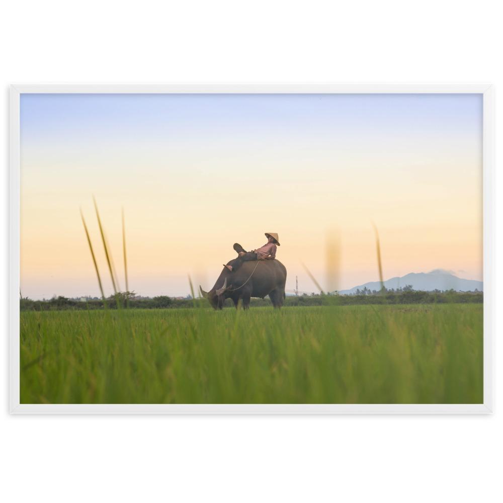 Peaceful Evening - Poster