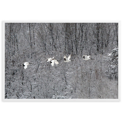 Poster - flying crane family