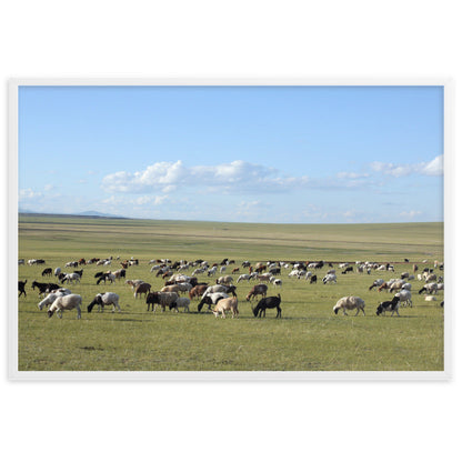 Poster - Herd of sheep graze in Mongolian steppe