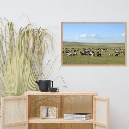 Poster - Herd of sheep graze in Mongolian steppe